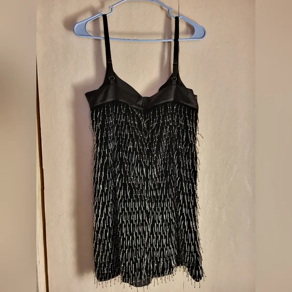 Anthropologie Sweetheart Fringe Shift Mini - Picture 7 of 10